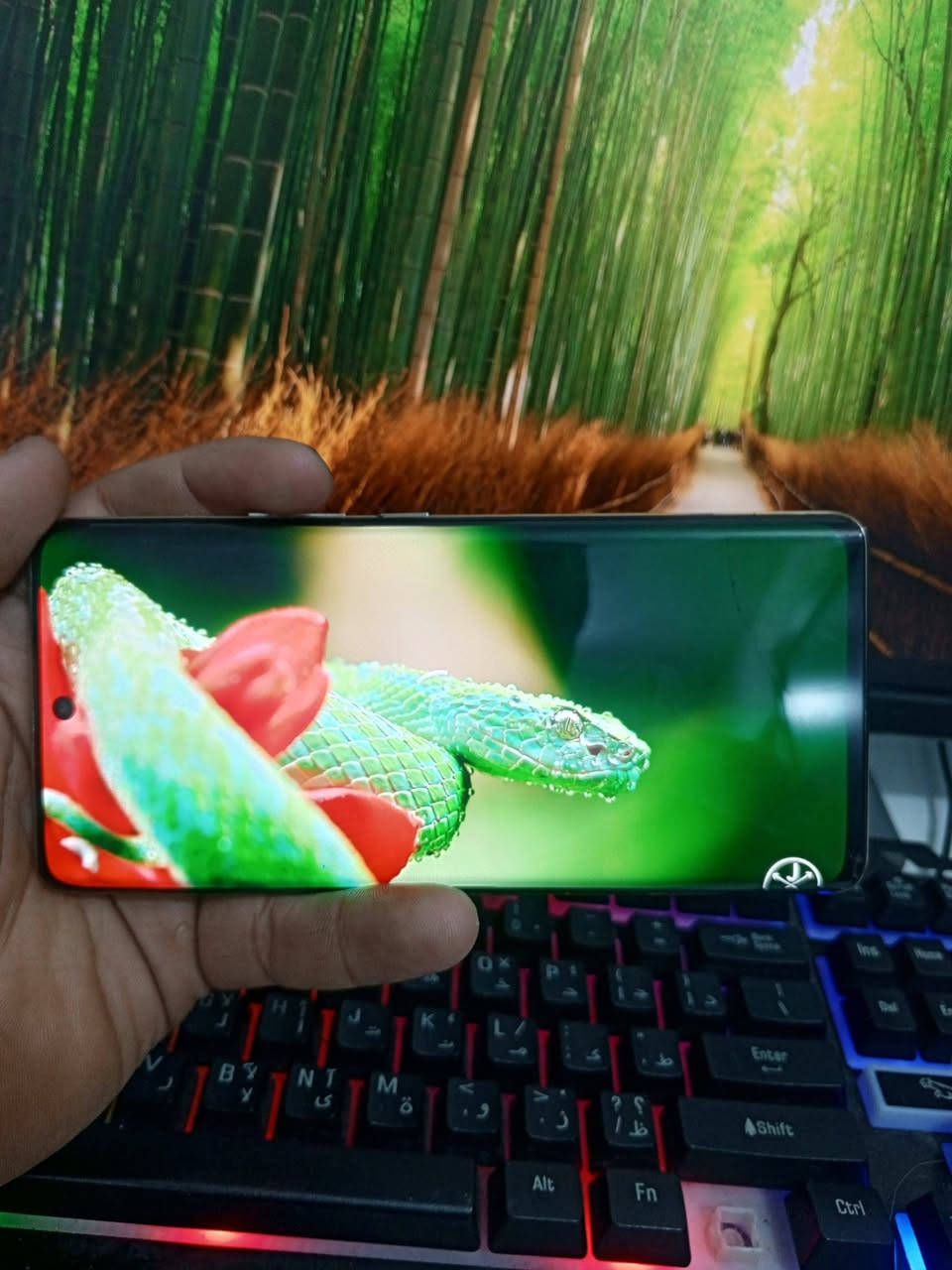 السلام عليكم ورحمة الله وبركاته 
جهاز Infinix zero 30 مراوس فقط 
ذاكرة 256 
مميزات بطارية ضخمة 
شاشة منحنية تصوير يخبل 
جهاز كلة شغال بي فطرين بشاشة 
خفيفات مماثرات مكاني بغداد
مراوس حسب القناعة 
مكاني بغداد


**إذا كنت صاحب هذا الإعلان وتريد حذفه لأي سبب، رجاءا أرسل رسالة إلى الدعم الفني**