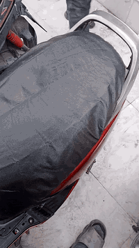 فراشة رمبة • محرك ذهبي • مجمع الياباني