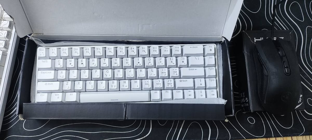 سلام عليكم
للبيع 
كيبورد ماوس كيمنك 
اسم كيبورد HXSJ V800
اسم ماوس HXSJ A869
السعر 25 
توصيل متوفر 
ادمن وافق


**إذا كنت صاحب هذا الإعلان وتريد حذفه لأي سبب، رجاءا أرسل رسالة إلى الدعم الفني**