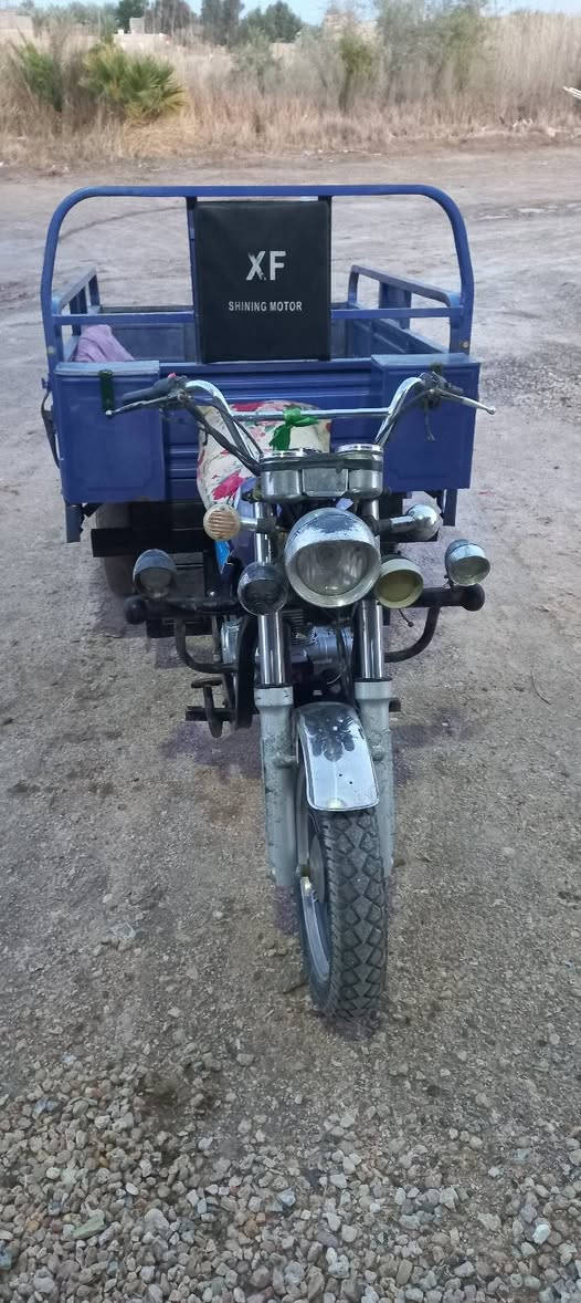 -السلام عليكم ستوته للبيع موديل 2020 محرك18 نظيفه ستوته وجاهزه مكفوله من لحيم اوراق بمليون و700 وبيه مجال 
-جونده موديل اوراق  14 جاهزه ونظيفه ب350 وبيه مجال 
-فيوم نفخ اوراق موديل 12 جاهزه كهربائيات كله شغاله محرك ناعم ب450 وبيه مجال 
للاستفسار ***********
