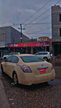 تيما • جير عادي • صبغ جديد