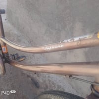 ديوانيه غماس • قيم واخذه