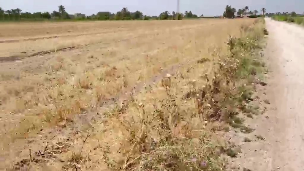 👇 السلام عليكم من رخصة الادمن مكلفه بالنشر 👇 تتوفر دونمين للبيع زراعي سند 25 للبيع بغداد اليوسفية شارع السيد عبدالله كامل الخدمات ما وكهرباء 👇 السعر الدونم ب 40 مليون 👇 الاستفسار والمراسله علي الخاص او واتساب *********** 👇👇👇👇👇👇👇👇👇👇👇👇👇👇👇👇👇👇
