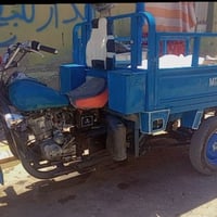 ستوته • رقم ابيض • سنويه رايحه