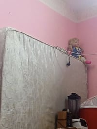 دوشك جربايه • نفرين • سوك شيوخ