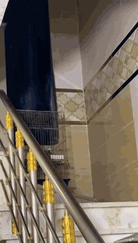 كاسكو ثلجي عمره سنه محلق ذهبيه متكلم ولاعوب جنح كامل بس اصيحه بأسمه يج...