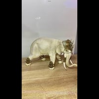 حيوانات أصلية • ديناصورات أصلية • بدون توصيل