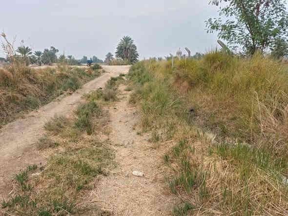 للبيع 5دونم طابوزراعي سند 25 مداور بسم المشتري الديوانية السنيه قرب سيد جراس تبعد عن الشارع العام 2كيلو ارض حلوه وصالحه للزراعه للستفسار تعال خاص اواتصل ***********واتساب
***********
