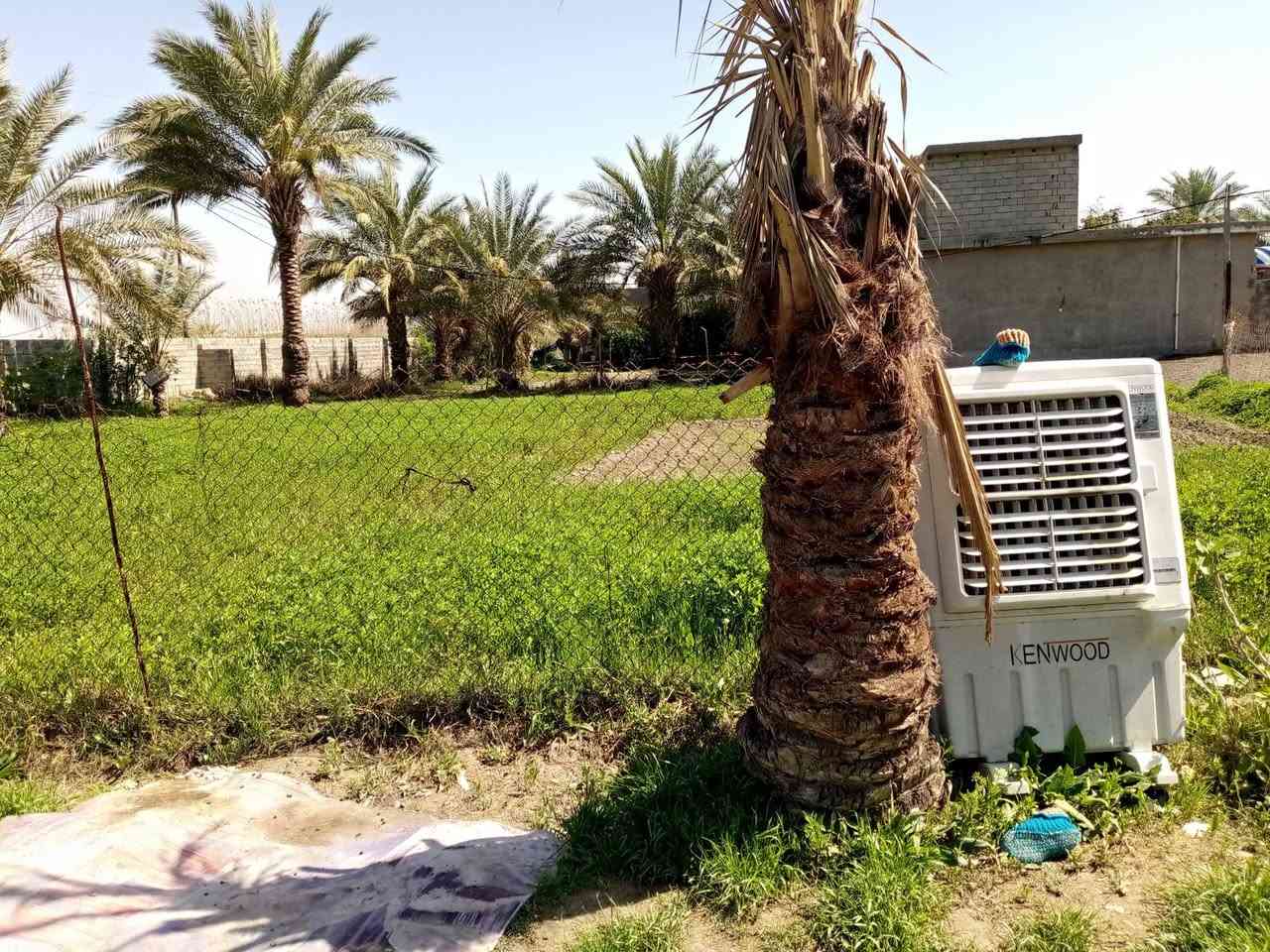 السلام عليكم يوجد ارض طابو سند 25 بغداد التاجي قرب المصابيح يوجد فيها كافت الخدمات تلاثة دونم ونص فيهآ سبع بيوت للبيع الاستفسار الاتصال على رقام ***********
