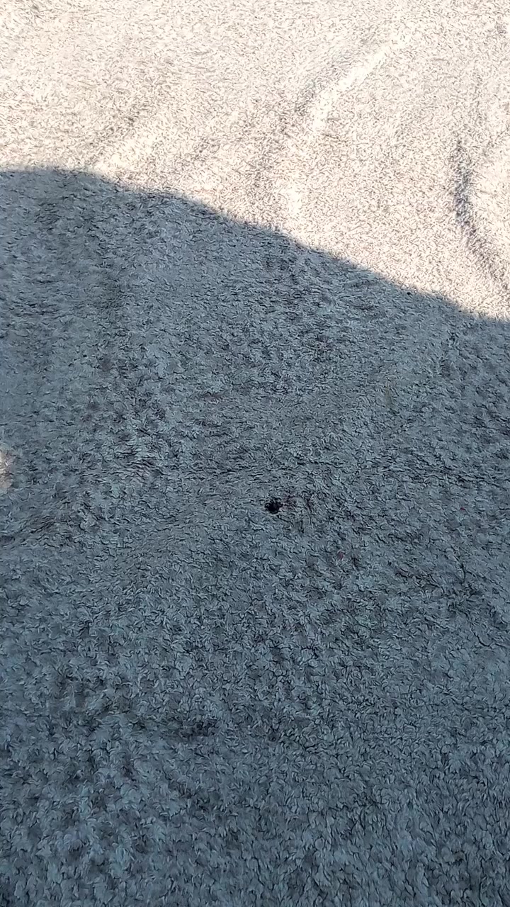 كاربت فرو نظيف يصير مال حولي أو مطبخ قياس ٣في ٣ سعرة ١٠


**إذا كنت صاحب هذا الإعلان وتريد حذفه لأي سبب، رجاءا أرسل رسالة إلى الدعم الفني**