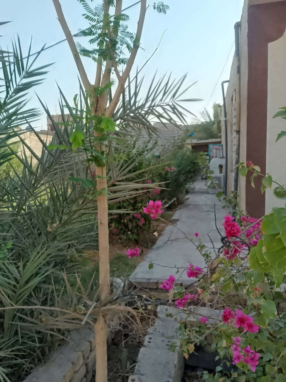 بيت للبيع في النجف الأشرف مقابل المطار مساحته ١٢٠٠م مشمول قرار ٣٢٠ يحتوي على غرفتين ٦في ٨ و٦في ٤ صاله ٦في ٤ ومطبخ ٦في ٤ تخاريج داخلي وخارجي مع محيط مساحه ٤٠٠ متر مضيف بناء درجة اولى مساحه ١٤ في ٥ مع حديقه ٣٠٠ متر كراج خاص كل الخدمات متوفره *********** أو *********** للاستفسار عن السعر وكل التفاصيل
