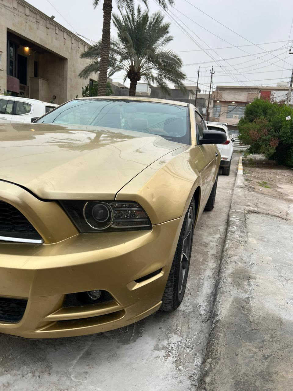 سلام عليكم سياره موستنك موديل 2014
نص موصفات القماره حديد 
كشنات كهربائيه وتغليف جديد 
مكينه 6 سلندر 
محرك گير مكفول 
السياره باسمي هزه جديده 
لونها البلادي ابيض غيرت لونها  ذهبي للجماليه 
حادثها خلفي فقط 
السعر 105 وبيه مجال حگ الجيه 
للتواصل
***********
