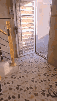 السلام عليكم
بيت للبيع المساحة 90 متر ركن الواجهه 9 م والنزال 10 م بناء حديث طابقين بناء طابوك 

ابو غريب الشهداء منطقة التصنيع للاتصال ***********

***********
