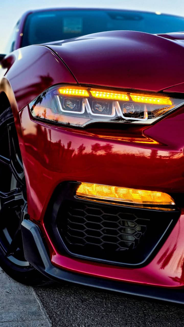 FORD MUSTANG GT 2023 [Auto]
فورد موستنك ٢٠٢٣ جيتي (مرقم السليمانية)
٢٠٨ ورقة

كير اوتو ١٠ نمر
لون كرزي مميز
وارد كندي دخول جديد
عداد كيلومتر
ماشي ١٩ الف ميل (١٤ الف في كندا)

المواصفات:
رادار جانبي مرايا (نقطة عمياء)
تحديد مسار
شاشة كبيرة sync3
ابل كاربلاي و اندرويد اوتو
كشنات كهرباء
لايت عالي اوتو
بصمة
تشغيل عن بعد
مودات (نورمال-سبوت-دراك-تراك-ثلج و مطر)
مودات ستيرن (نورمال-سبورت-كومفورت)

الإضافات و التزويدات:
عليها برمجة و تفريغ من كندا
ايج بايب ستيدا $300
دبات فلو ماستر $140
اكسل باك فلو ماستر (سستم اكزوز اكتيف) $1300
ويلات سبورت ٢٠ انج (٢ سايز ١٠.٥ و ٩.٥) $550
لايتات ٢٠٢٤ $300
دعامية ماك ١ $300
سبويلر شيلبي $60
دفيوزر شيلبي $60
السبويلر و الدفيوزر البلادي موجود عندي

صوت السيارة عالي نغمة و حلو جداً

رقم الشاصي: 1FA6P8CF7P5305423 
صور الحادث موجود بالمنشور

السيارة حادثها جانبي خفیف جدا بيها قطعتين و نص صبغ (باب السائق مبدل بلادي و مصبوغ، الجاملغ الأمامي، نص الجاملغ الخلفي)
بدون شاصي و دواخل بشرط
و ثلاث قطع بس رش كلير من كندا
ارباك بس دركة السائق طاك و مبدل بلادي

السيارة ما بيها أي نقص و السيرفسات كلهم منجز في وقته بأفضل مواد و حطيت بيه فقط بنزين سوبر

سنوي و هزة جديدة بأسمي تحويل ثاني يوم

السيارة في السليمانية
أذا شراي أتصل أو دزلي رسالة 
*********** whatsapp/viber
