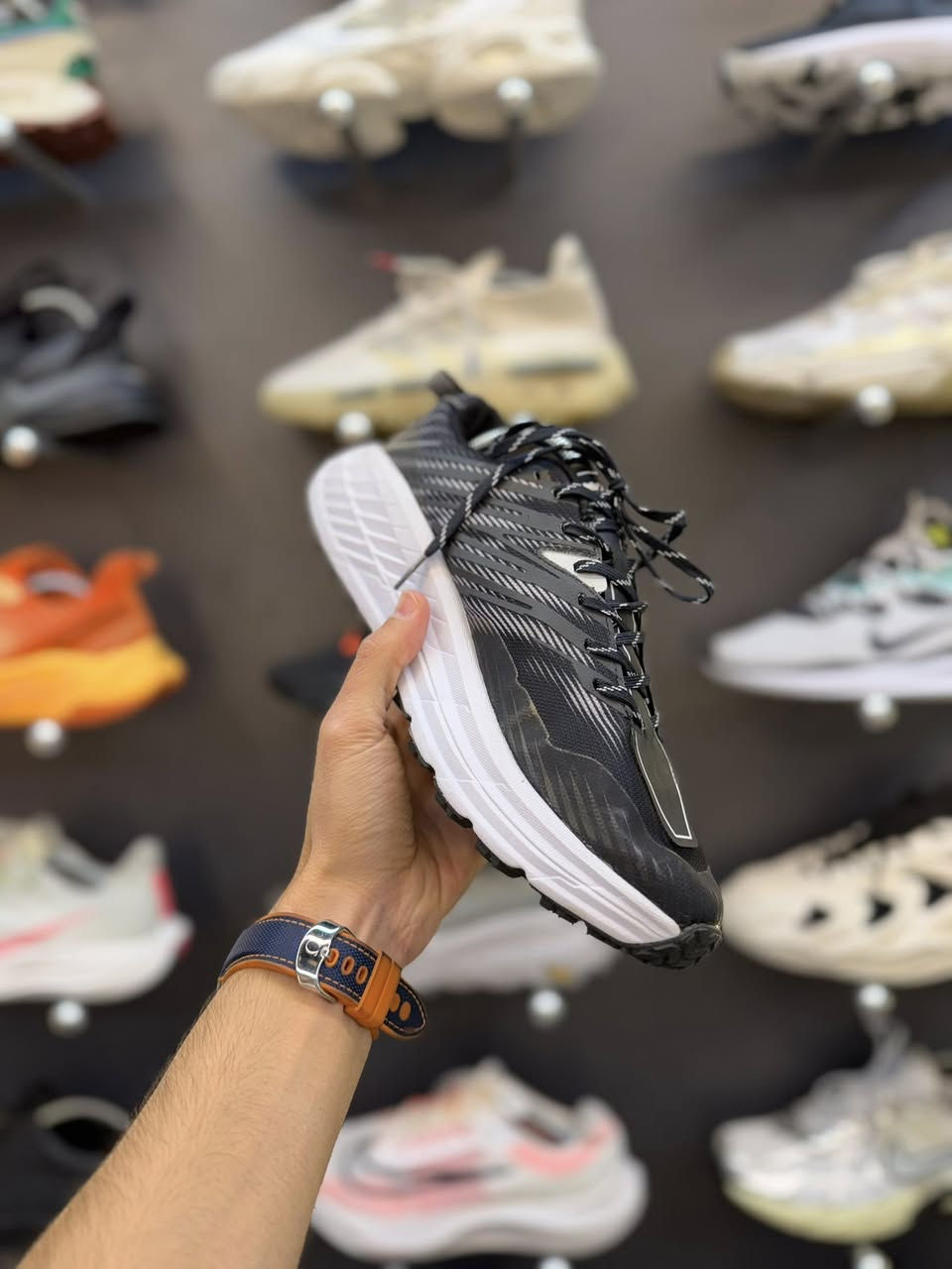 النوع/هوكا
القياس/42،5
السعر/65


**إذا كنت صاحب هذا الإعلان وتريد حذفه لأي سبب، رجاءا أرسل رسالة إلى الدعم الفني**