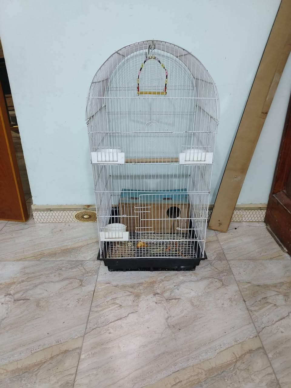 اقفاص كلش نضيفات ثنين بعدهن جدد #لجبير45
والحديد #زغير30 مكاني فلوجه شهداء قرب ابو نسوره ***********              ***********
