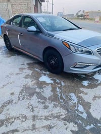 سوناته ٢٠١٦ • أمريكي • بدون صبغ