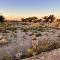 مجاور جامعة بابل • ٢٣٢٠م • واجهة ٣٧٫٥م