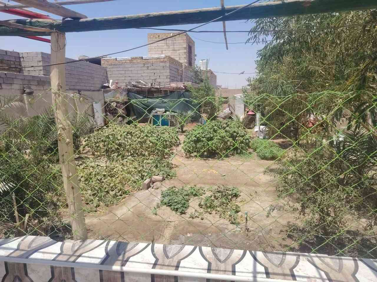 ارض زراعيه للبيع مساحه 700مزرعه سند 25بسم المشتري بمجمع سيد مكي خلف عمارات الزيتون بيت بيهه متكامل كافت الخدمات ***********
