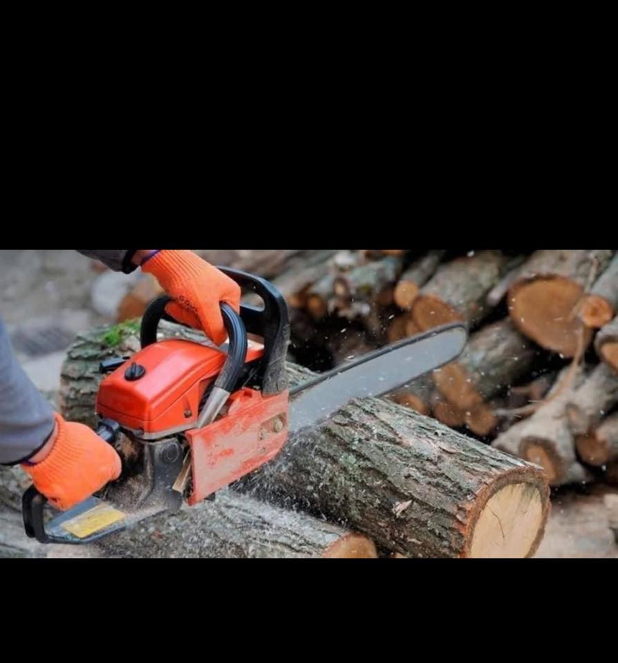 السلام عليكم 
اي احد محتاج تنضيف بستان حدائق سقي بستان 
قص الاشجار وتنضيفهه 
كافه في كربلاء كافه المناطق 
***********
كص الخشب
