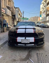 موستنج • ٢٠١٢ • زعفرانه