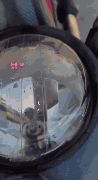 السلام عليكم دراجه سكن الجبل للبيع موديل 14 دراجه رمبه مكان بغداد ***********/***********
