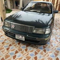 بطه ياباني • ٩٣ • محاويل