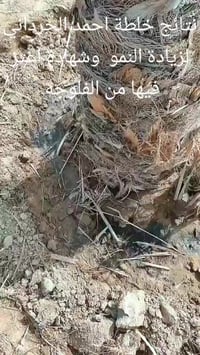 خلطة الحرداني • زيادة النمو • الفلوجه