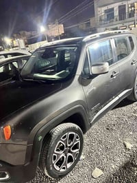 رنجيد • ٢٠١٧ • بدون صبغ