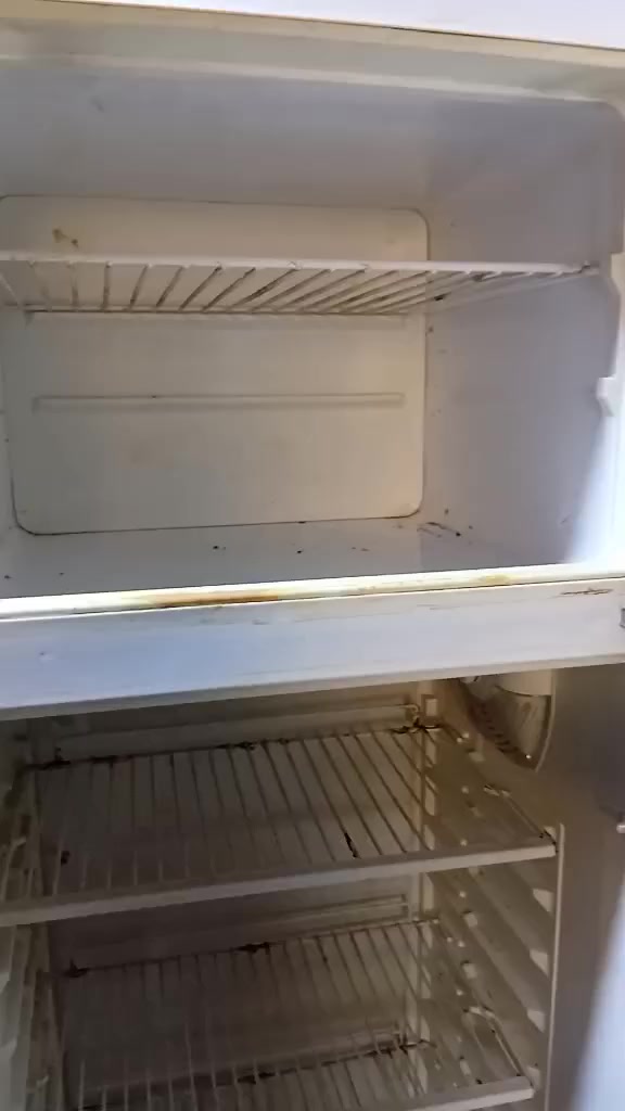 ثلاجة نوع فستل حجم ١٦ قدم نضيفة ماداخلة تصليح ولا بيها عطل السعر ١٢٥ وبيها مجال


**إذا كنت صاحب هذا الإعلان وتريد حذفه لأي سبب، رجاءا أرسل رسالة إلى الدعم الفني**