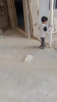 بيت زراعي • خلف شارع البحجازي • ٢٥٠م