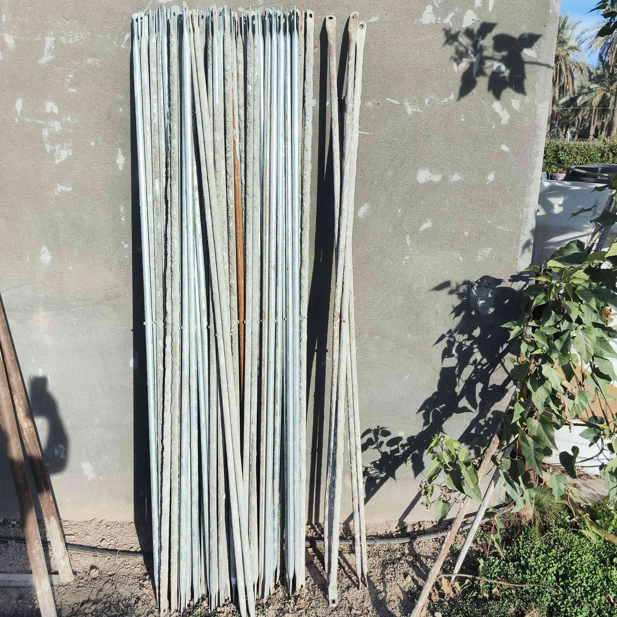 السلام عليكم عندي سكلات للبيع العدد ١٥ قفص كامل حجم ١٢٠ سعر ٧٠ الف القفص 
وعندي عقارب عدد ١٥ سعر العقرب ٢٥ الف 
التفاصيل اكثر ***********
