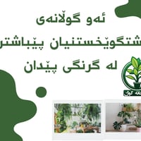 زهور بيتية • نباتات • زينة حديقة