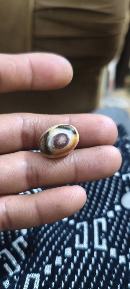 عطف بحري ملكط + خرزه نوع جزع
فضه عيار 925 
قيم وتشلع عيوني
خاص متواجد


**إذا كنت صاحب هذا الإعلان وتريد حذفه لأي سبب، رجاءا أرسل رسالة إلى الدعم الفني**