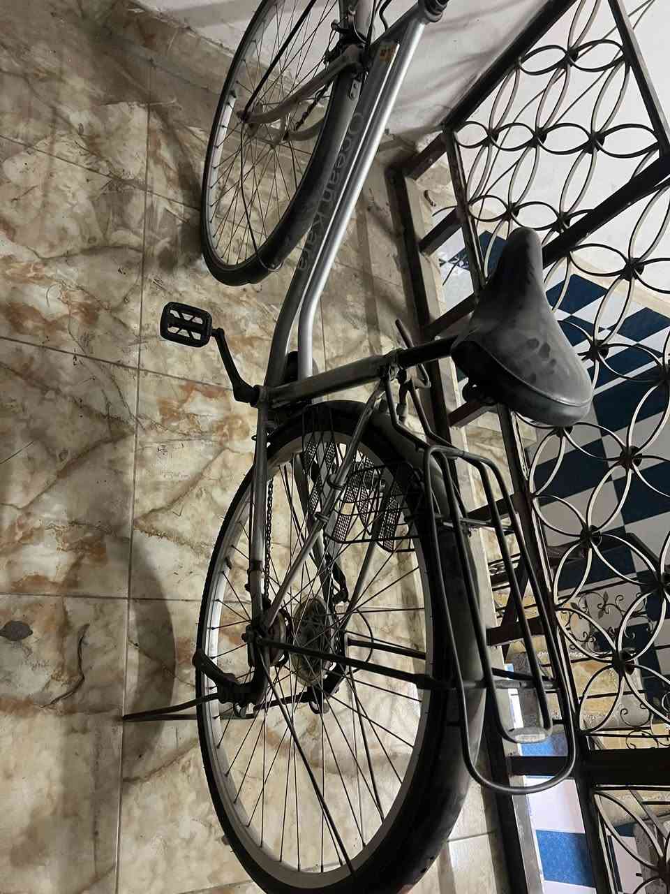 السلام عليكم بايسكل للبيع بايسكل رمبة جديد زوج تايرات جديد البايسكل مضموم ما طالع للشارع بايسكل كلة شغال مابي شي ما يشتغل 125وبي مجال حك الجية 
 رقمي  ***********  
مكاني الدورة
