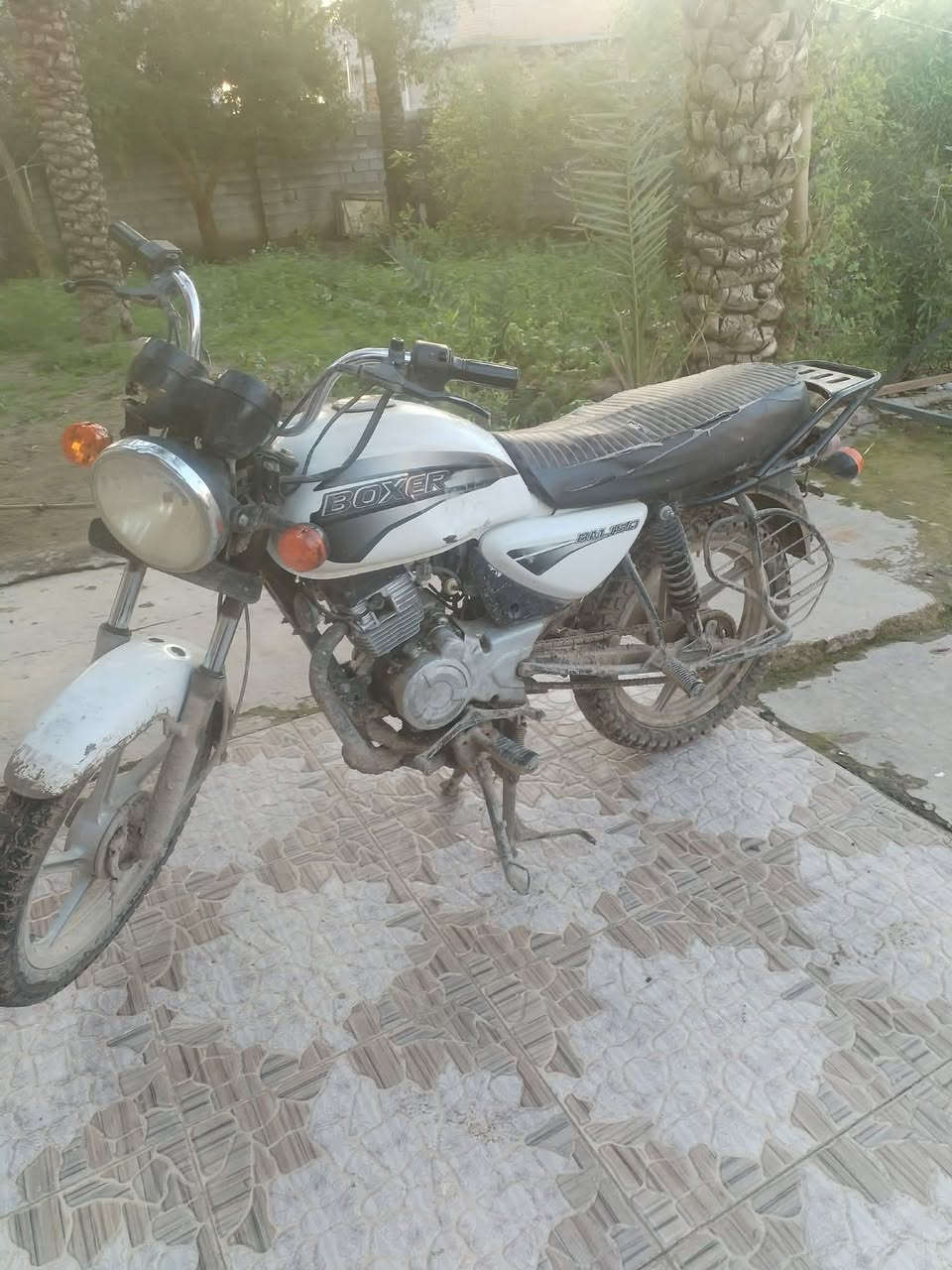 بوكسر 18 اوراق موجوده مكاني بعقوبه ***********
