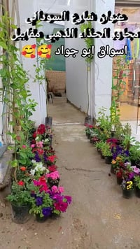 سبع البور • شارع السوداني • قريب أسواق ابو جواد