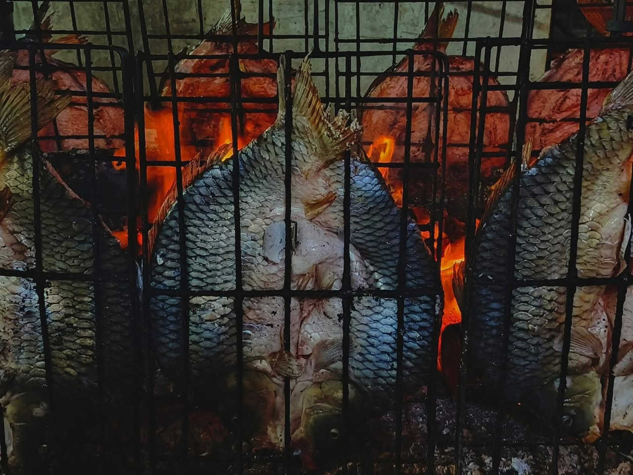 بسم الله وعلى بركة الله بأجر يوم االاثنين مسكوف ابو شهم لبيع الاسماك ول دجاج الحي  العنوان شارع العام مقابل مديريه شرطه بيجي سعر كيلو سمك  اب خمستالاف هوه ول شوي العرض بس باجر الحجز من ساعه بل وحده الظهر اله الساعه ٣عصرا

باداره:محمود القيسي
 

الهاتف:***********
