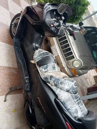 فورزه • صفر • أوراق كاملة