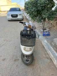 منغولي • تجفيت • كربلاء ملحق الفارس