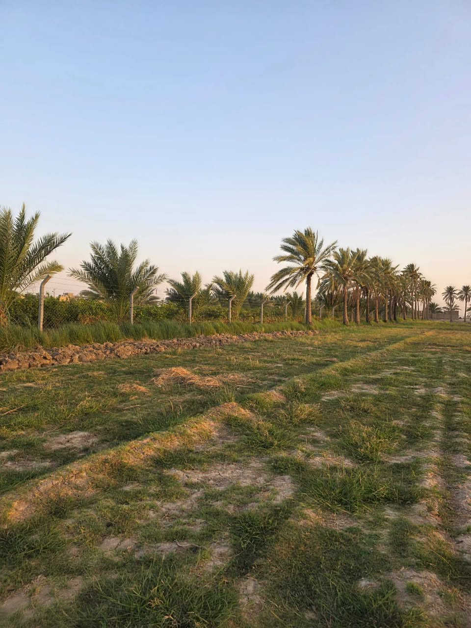 بيع مستعجل مزرعه للبيع 3 دونم  طابو 25  تحويل مباشر  في الفلوجه الشهابي مقاطعه 13 خلف مجمع الماسه قريبه ع توزيع الفلوجه الجديده ع النهر مباشر عرض المزرعه 75 والطول 100  تحتوي ع 50 نخله متعدد الاصناف  سعر الدونم الواحد 31 وبيها مجال
للاستفسار واتساب فقط او ماسنجر 
***********
