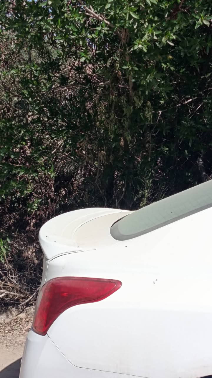 السلام عليكم ورحمة الله رمضان كريم عالجميع
دار للبيع في قلب شارع مكتب الرشيد بمكان ممتاز
ثلاث دقايق عن الشارع العام مقابل حي المكرمة
المساحة 110م البيت عبارة عن طابقين
الطابق الأرضي مكون من
غرفة نوم كبيرة وصالة واستقبال ومطبخ ومنور
والطابق الثاني عبارة عن غرفتين كبيرتين
وصالتين كبيرتين وحمام وتواليت
أمامه حديقة بالشارع كبيرة
للاستفسار أكثر الإتصال على الرقم
*********** واتساب موجود...
