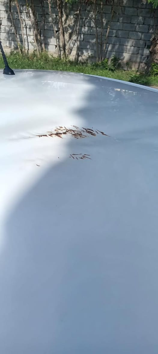 السلام وعليكم بيكانتو موديل 2012سياره حلوه نصبتها بدون صبغ السياره مكينه كير خير من الله تبريد تخم تاير سياره جاهزه فقط بيها رصعه بالقماره بدون تصليح مرفقه بالصور رقم شمالي بسمنه السياره السعر 85وقابله للتفاوض مكان السياره بغداد قرب سيطره ال37الاتصال ع الرقم ***********
