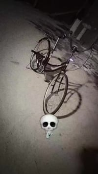 بايسكل • نضيف • مستعمل