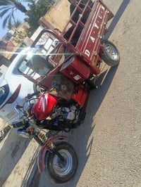 ستوته ١٧ • أوراق كاملة • محرك مكفول