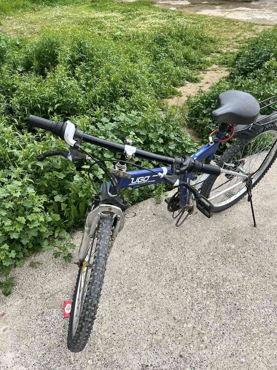 بايسكلي جبلي حجم 26 ✅
كير 7 نمرات شرط 
صطابات شرط 
نضيف مثلما موضح بالصور 
السعر 70 بيع فقط ‼️


**إذا كنت صاحب هذا الإعلان وتريد حذفه لأي سبب، رجاءا أرسل رسالة إلى الدعم الفني**