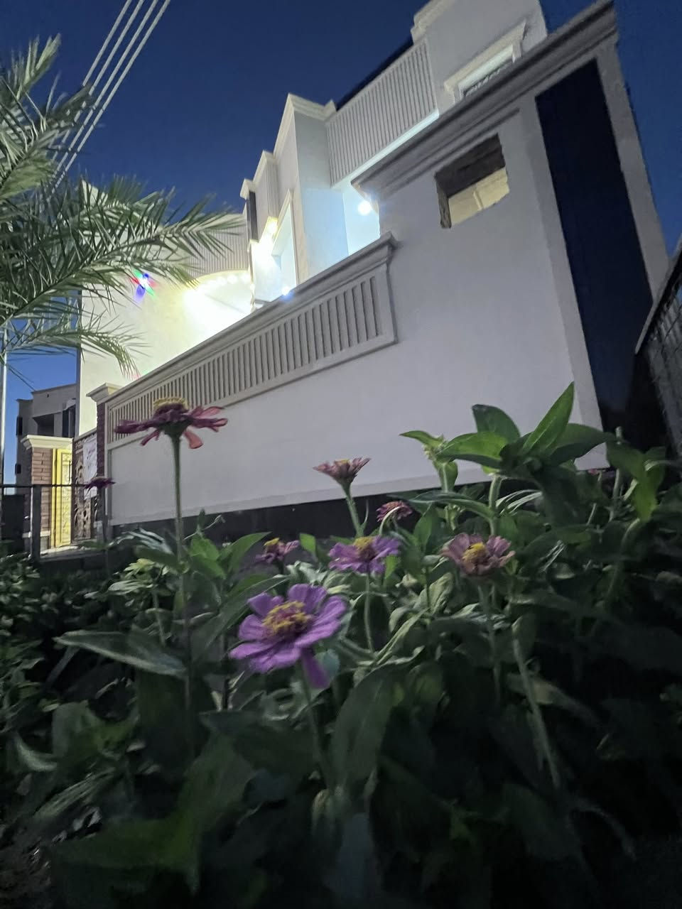 سلام عليكم بيت في السكنيه خلف الكليه الاداره والاقتصاد مساحته 250 طابو صرف بناء طابوق بي غرفه جوه وغرفتين فوك ديوانيه صاله ومطبخ صاير بلخلف مناور ثنين شارع كدامه 15 خدمات كامله منطقه كلها زينه 
 سعره 160 وبي مجال رقم تلفون 
 ***********
