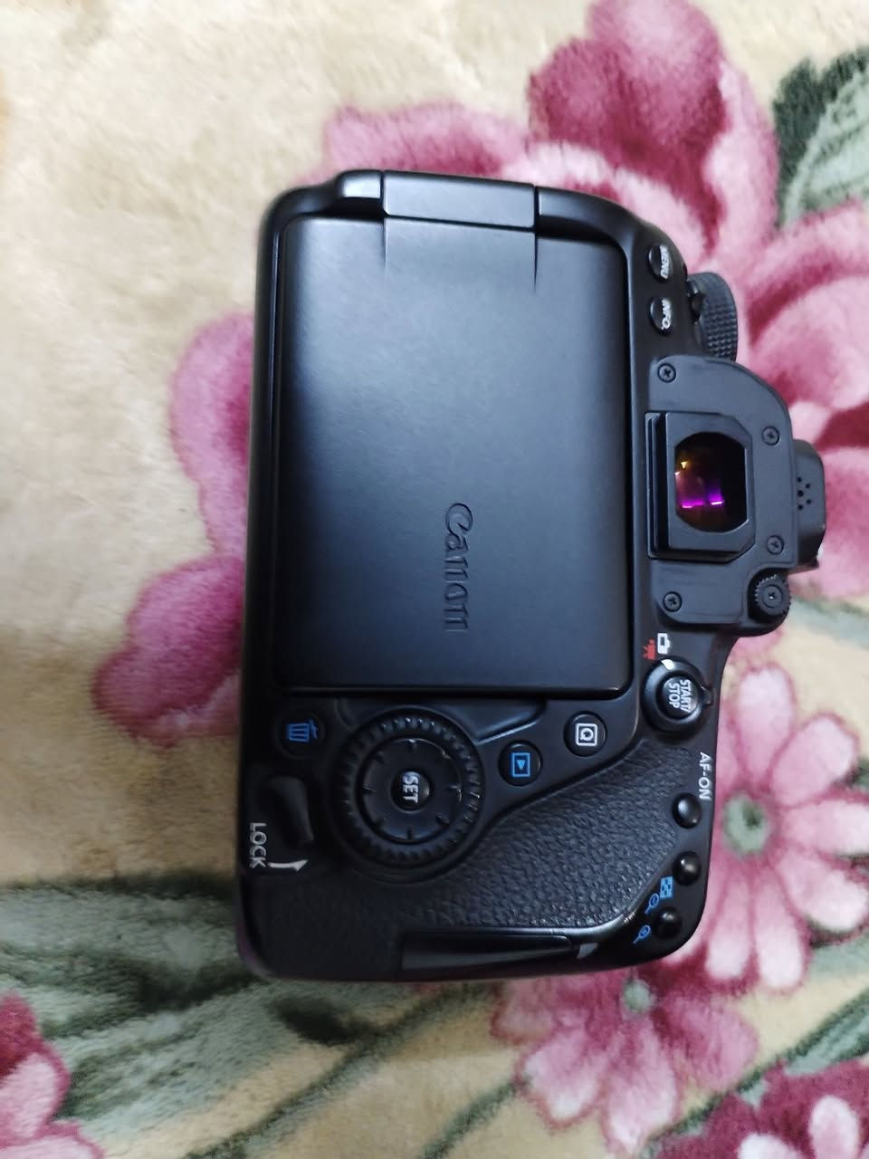 بدي 80d جديد 
بيع او مراوس ب6d مارك 2 او 5d مارك 3
بغداد البياع


**إذا كنت صاحب هذا الإعلان وتريد حذفه لأي سبب، رجاءا أرسل رسالة إلى الدعم الفني**