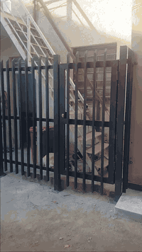 تنفيذ سياج خارجي تصميم مودرن في منطقه العطيفيه 
حديد تركي 2ملم 
حسب طلب الزبون 
معمل المهندسين👍👍
لكافه اعمال الحداده 
العنوان 📌📌
بغداد .. شيخ عمر .. الشارع الاول 
للاستفسار مراسله الصفحه او اتصل على الرقم ***********
ملاحضه ....  👊👊
 الابواب والشبابيك والكتائب  يكون سعره على المتر 
ارسل القياسات إذا امكن لمعرفه السعر 
الابواب الخارجيه يكون سعره قطعي حسب الموديل والقياسات 
في حال عدم معرفة القياس ممكن ترسل العنوان ويصلك مندوب لاخذ القياسات بالمضبوط ويعطيك السعر 
شكرا لتعاونكم 
#المهندسين
