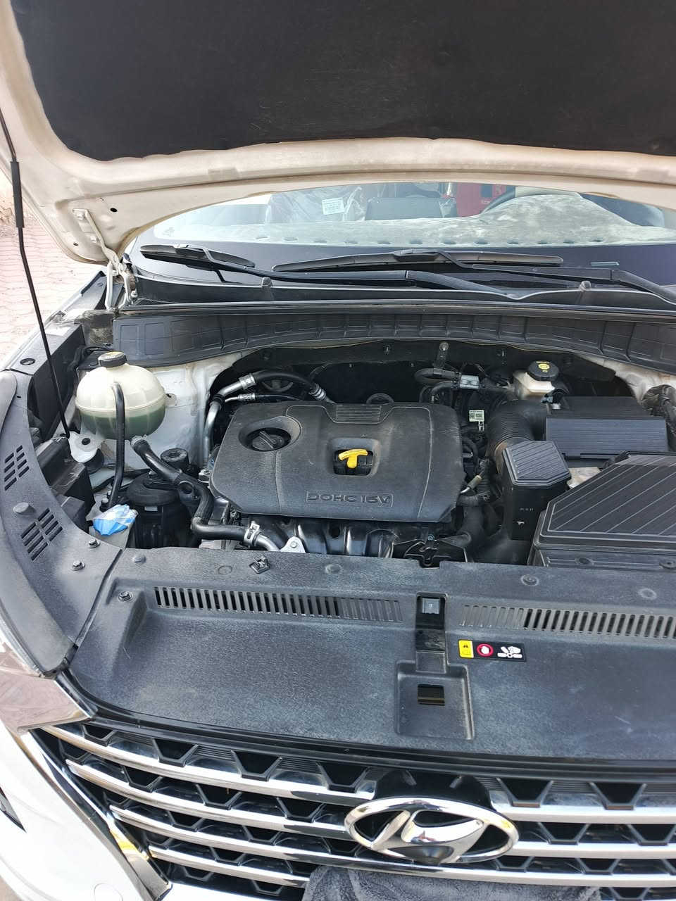 توسان 2020
لد نهاري ، ماشية 90كيلو
مكفوله كفاله عامه 
سبير مانازل 
فول مواصفات 1/1
رقم بغداد ،تحويل ثاني يوم
للأستفسار ***********
